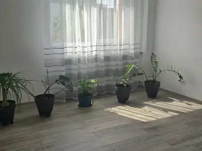living cu plante apartament vanzare cumparare Sector 3, București